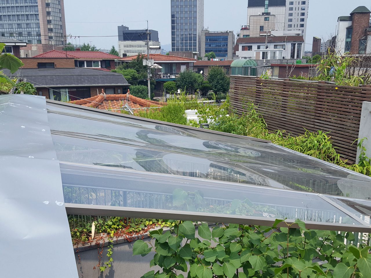 170714 서울 강남 빌딩 옥상 렉산공사