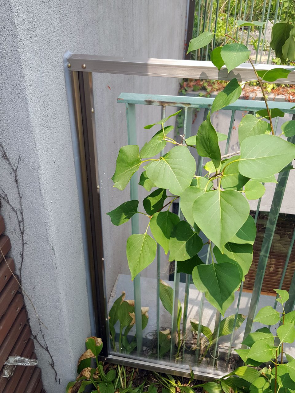 170714 서울 강남 빌딩 옥상 렉산공사